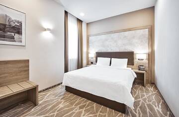 Стандартный двухместный номер с 1 кроватью в Отеле Hotel Milano